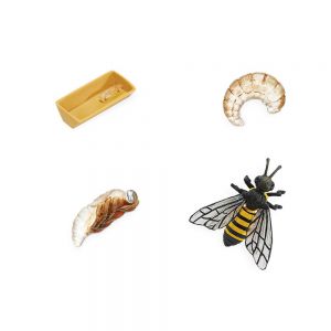 Комплект фигурок Жизненный цикл пчелы ― Пять Чудес