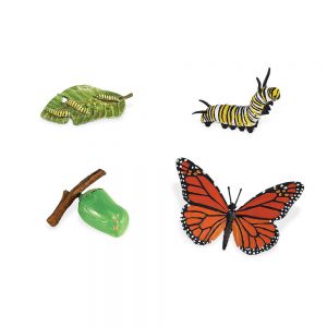 Комплект фигурок Жизненный цикл бабочки ― Пять Чудес