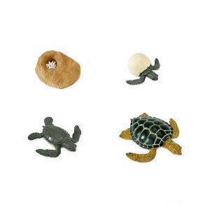 Комплект фигурок Жизненный цикл черепахи ― Пять Чудес